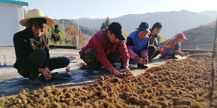 夏季中藥材養(yǎng)生，牢記這五條