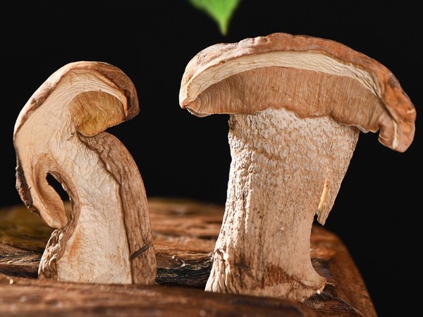 怒江農特產品野生牛肝菌直供